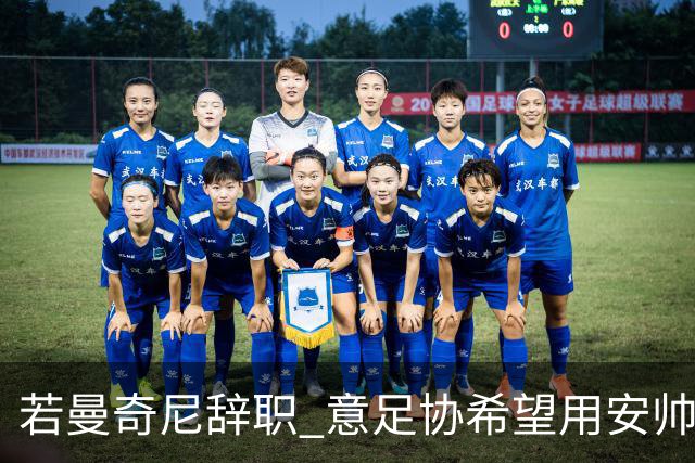 若曼奇尼辞职 意足协希望用安帅或卡纳瓦罗替代